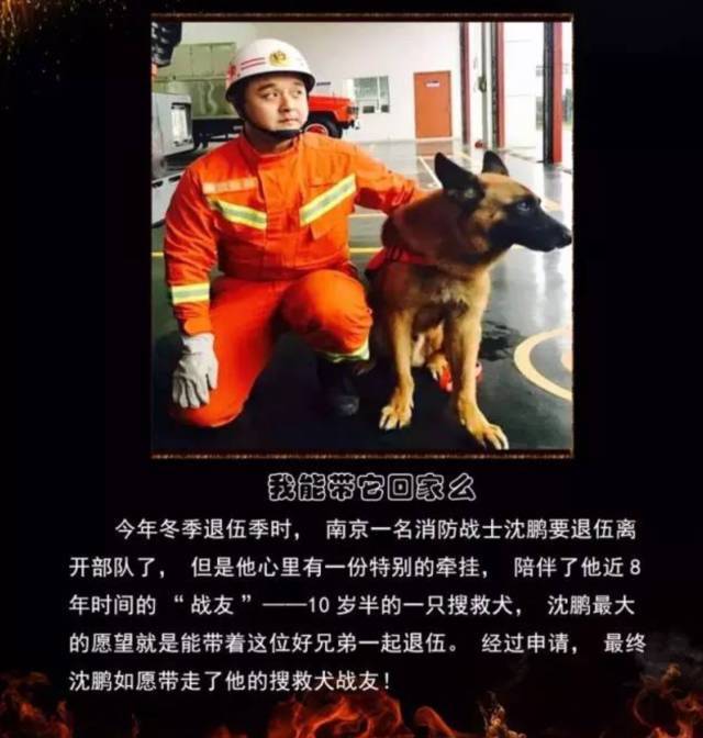 浴火重生的逆行者，肌肉越大責(zé)任越大，這才是真漢子——中國(guó)消防員(圖23)