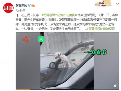 一心三用？司機(jī)邊看書(shū)邊駕車邊擼狗驚呆過(guò)路司機(jī)