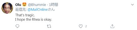 剛確診新冠一星期，巴西總統(tǒng)喂鴕鳥時又被咬了，網友卻希望“鳥沒事”(圖5)