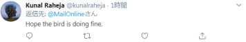 剛確診新冠一星期，巴西總統(tǒng)喂鴕鳥時又被咬了，網友卻希望“鳥沒事”(圖4)