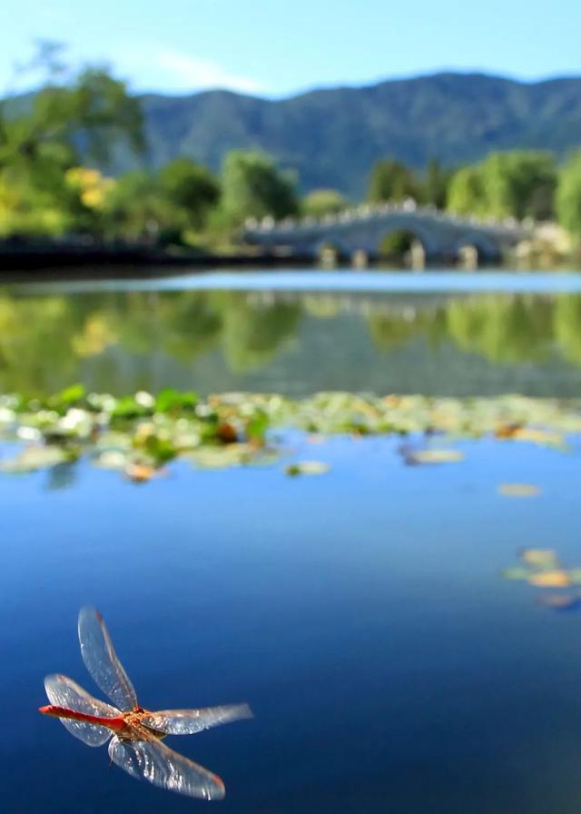 今日大暑丨迎風(fēng)沐雨，憧憬未來(圖5)