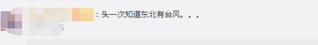 臺風“美莎克”致吉林玉米大面積倒伏，像棉被一樣鋪在地上，減產(chǎn)已成定局(圖2)