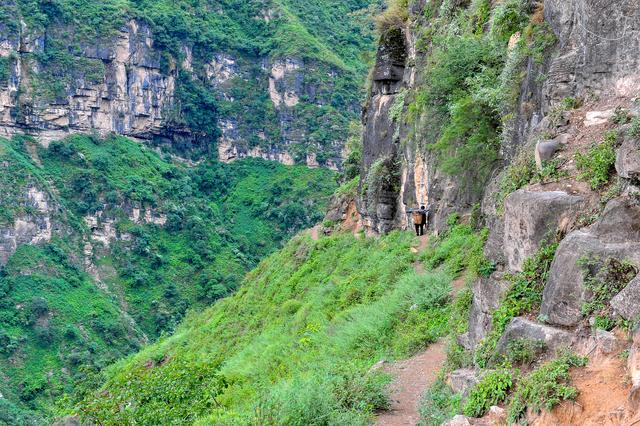 四川批準(zhǔn)涼山7縣摘帽脫貧！全省88個(gè)貧困縣全部清零